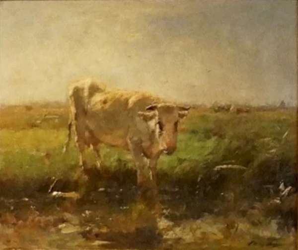 Mucca - Museum Willet, Holthuysen, aMSTERDAM
